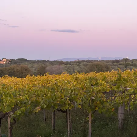Roma Sud 3* Frascati